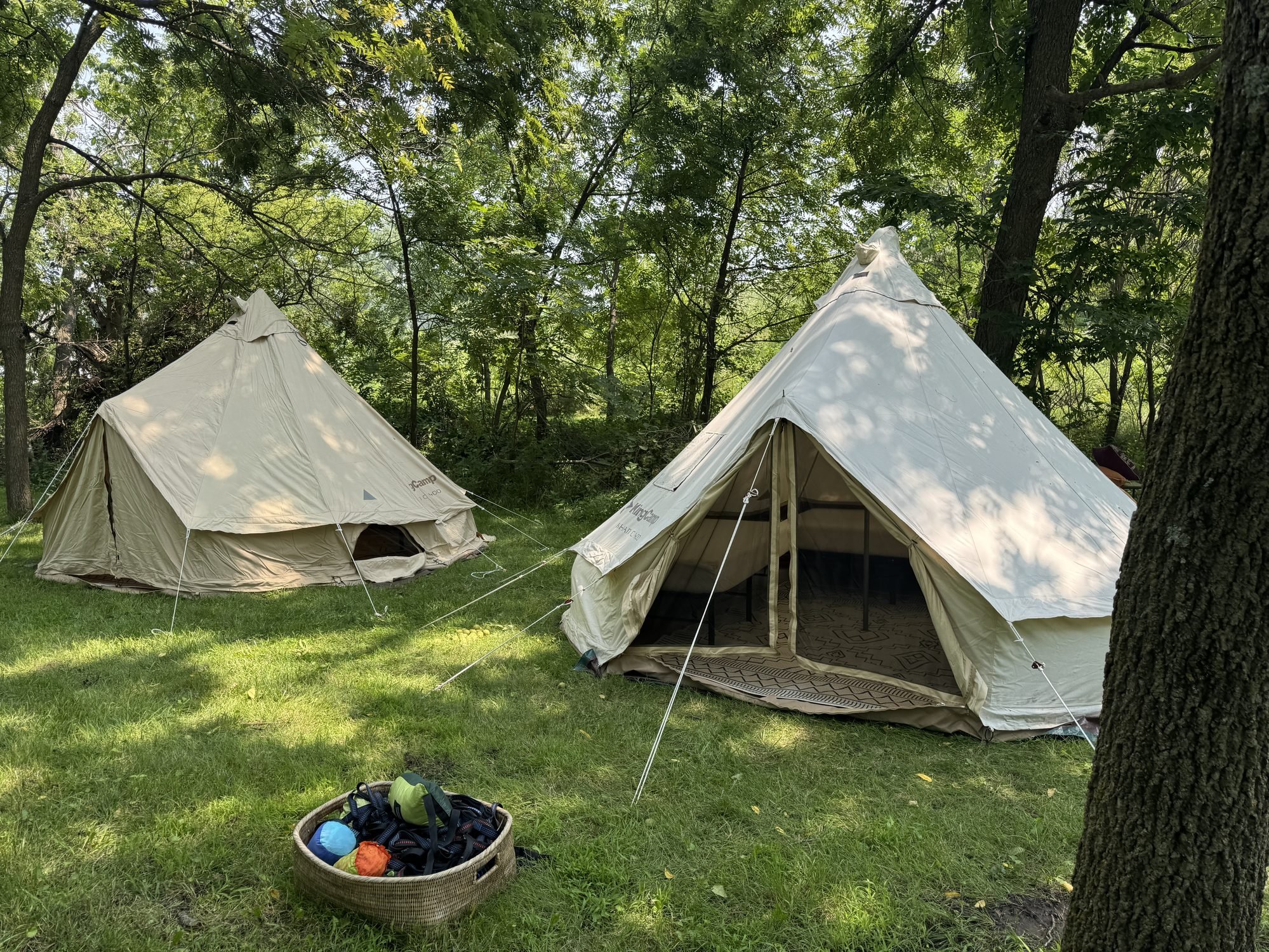 Canvas tents among trees on the estate